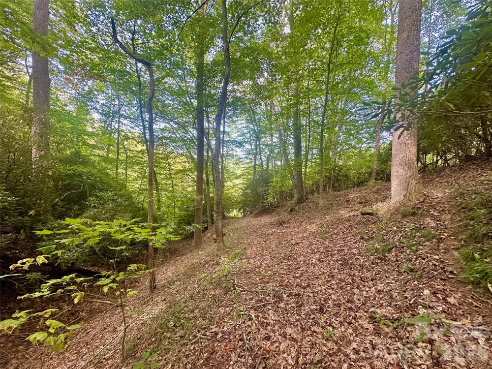 TBD old anderson quarry Road Vilas, NC 28692