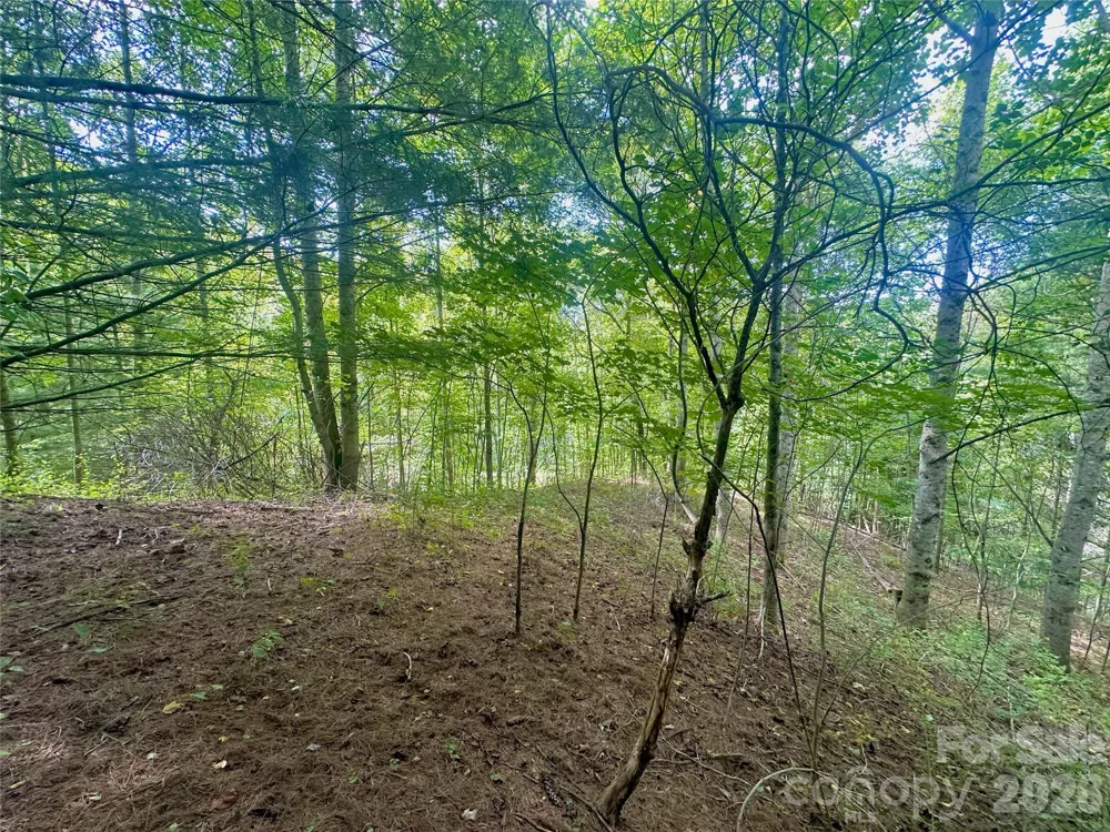 TBD old anderson quarry Road Vilas, NC 28692