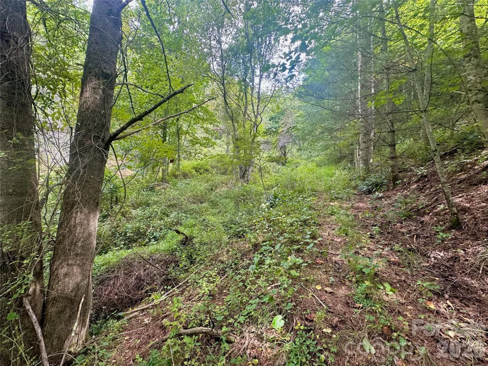 TBD old anderson quarry Road Vilas, NC 28692