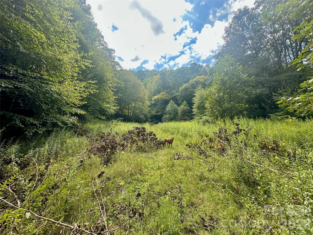 TBD old anderson quarry Road Vilas, NC 28692