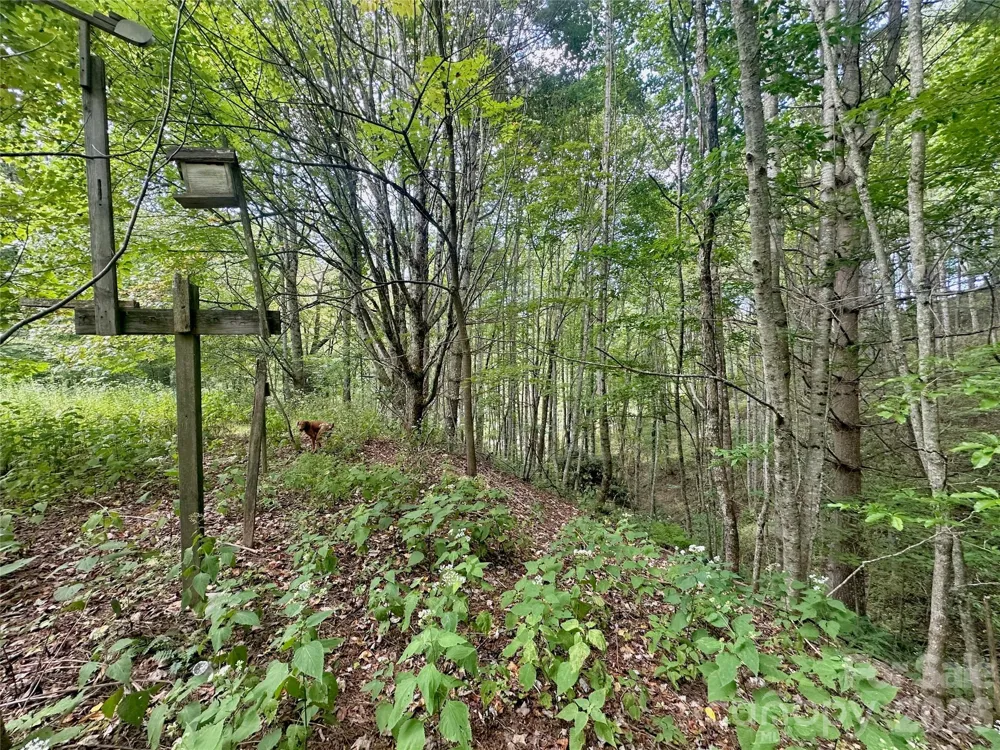 TBD old anderson quarry Road Vilas, NC 28692