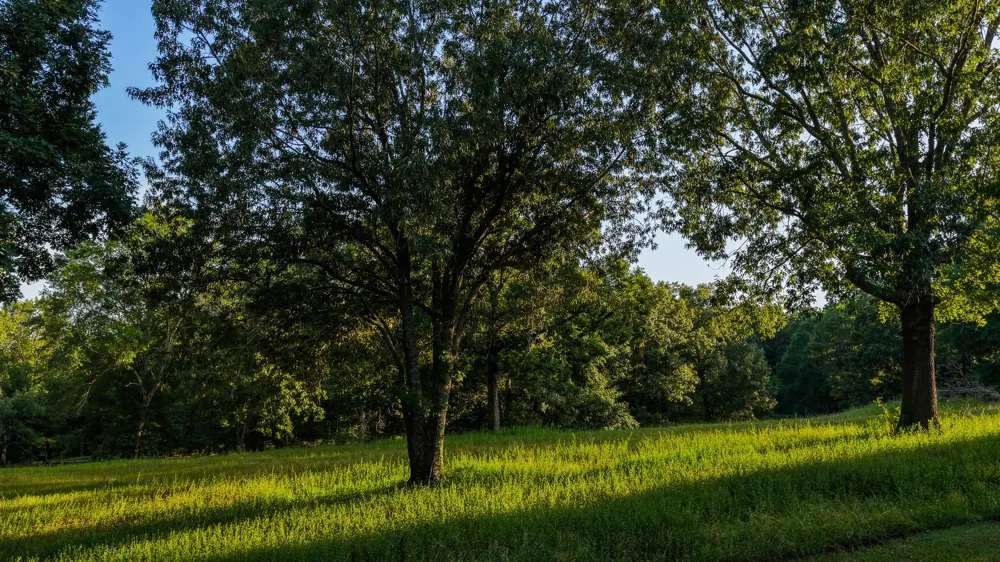 179 County Road 2790 Shelbyville, TX 75973