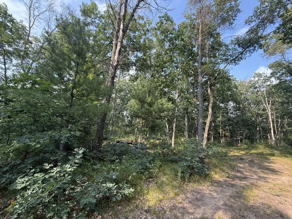 2668 W Moonflower Baldwin, MI 49304