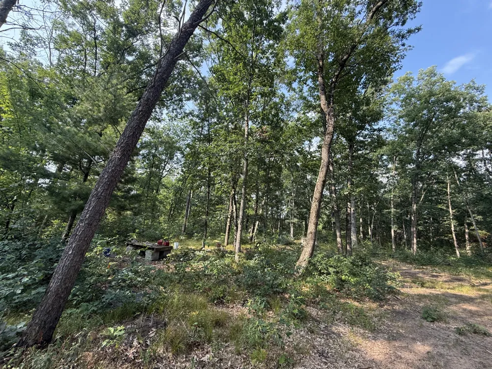 2668 W Moonflower Baldwin, MI 49304