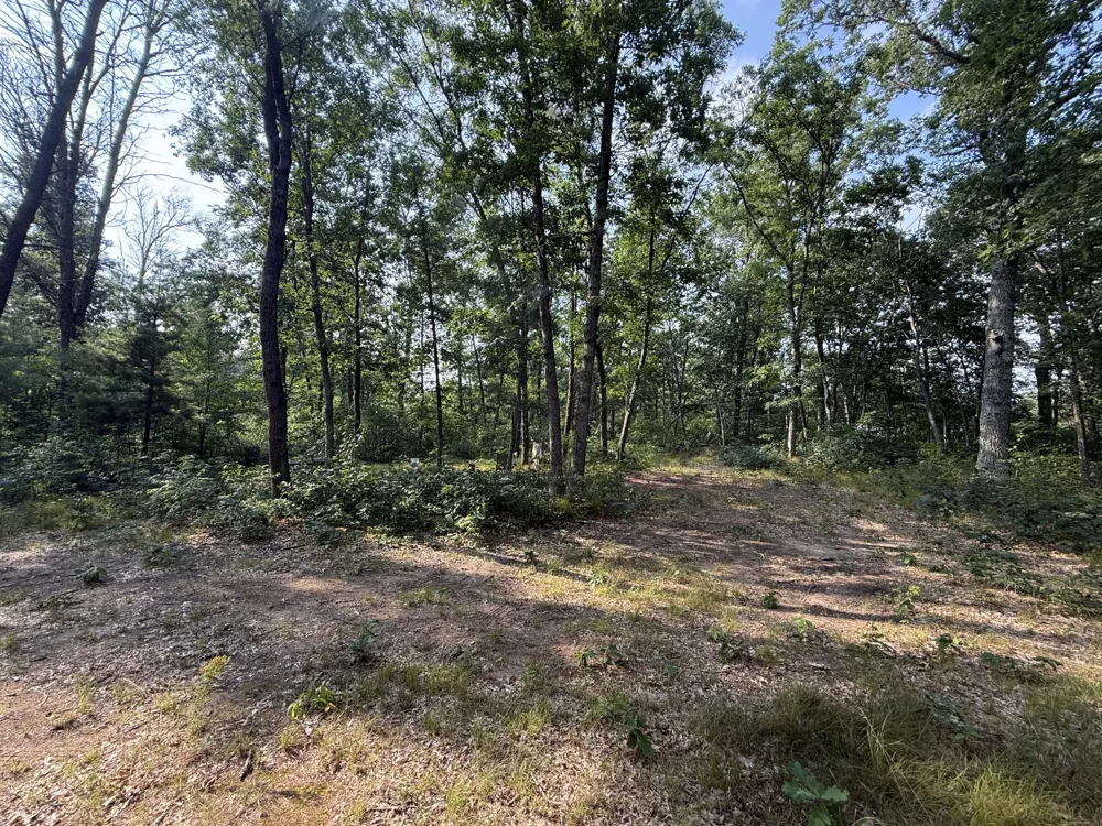 2668 W Moonflower Baldwin, MI 49304