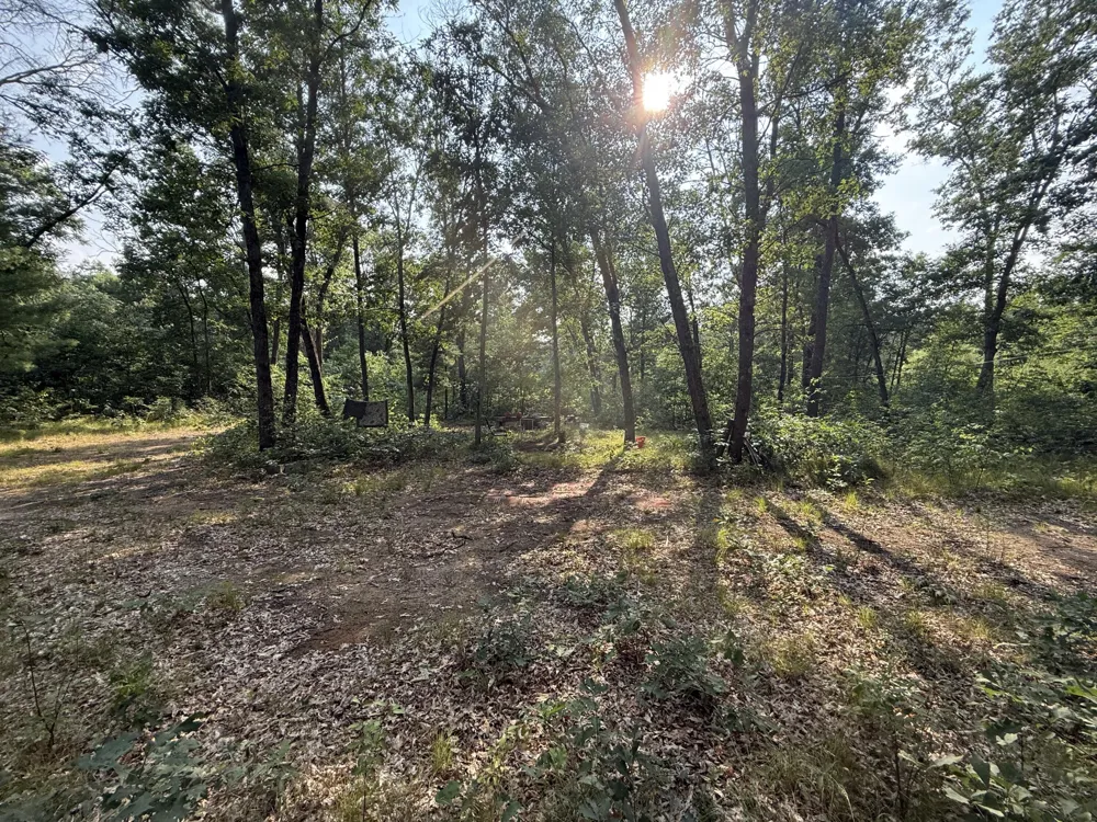 2668 W Moonflower Baldwin, MI 49304