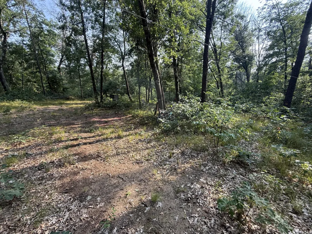2668 W Moonflower Baldwin, MI 49304