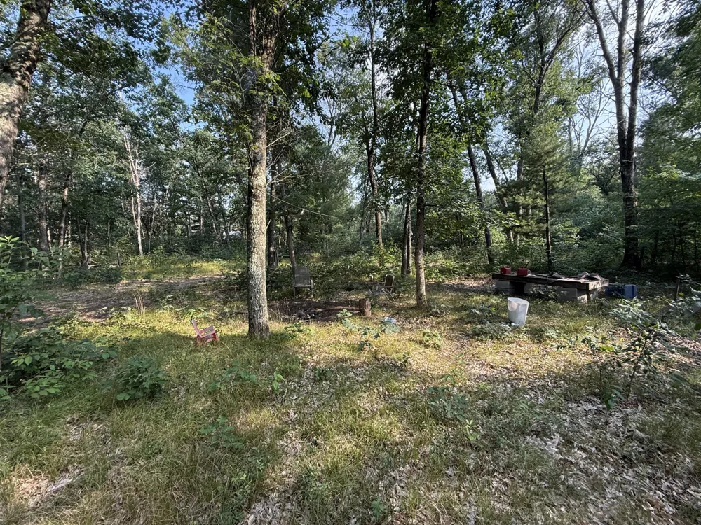 2668 W Moonflower Baldwin, MI 49304