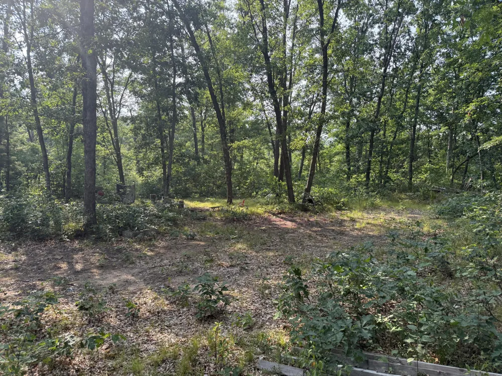 2668 W Moonflower Baldwin, MI 49304