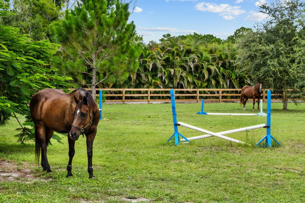 19925 Black Falcon Road Loxahatchee, FL 33470