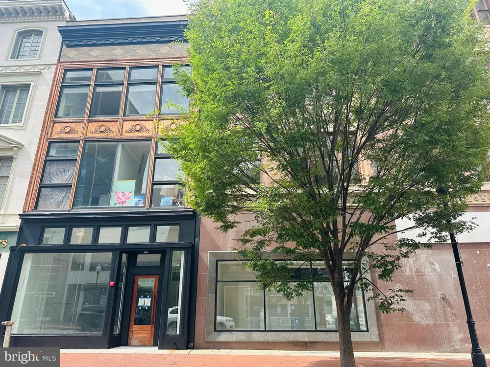 100 W LEXINGTON STREET #505 Baltimore, MD 21201