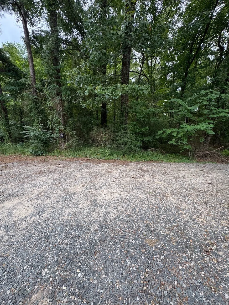 177 Miller Road Doyline, LA 71023
