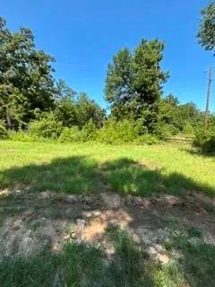 County Road 488 Normangee, TX 77871