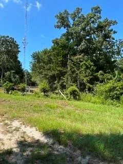 County Road 488 Normangee, TX 77871
