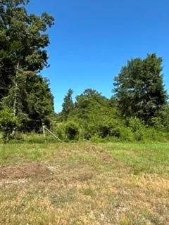 County Road 488 Normangee, TX 77871