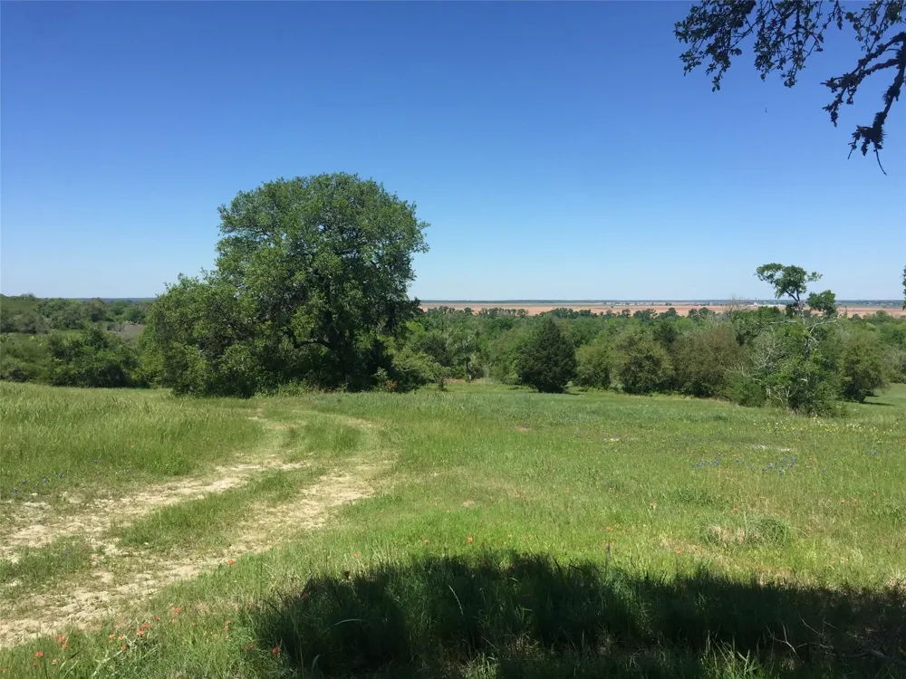 11755 Puddin Ln Washington, TX 77880