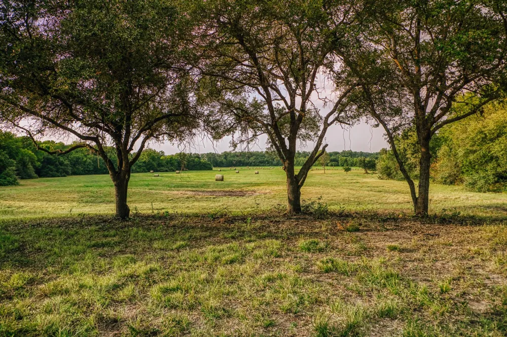 11755 Puddin Ln Washington, TX 77880