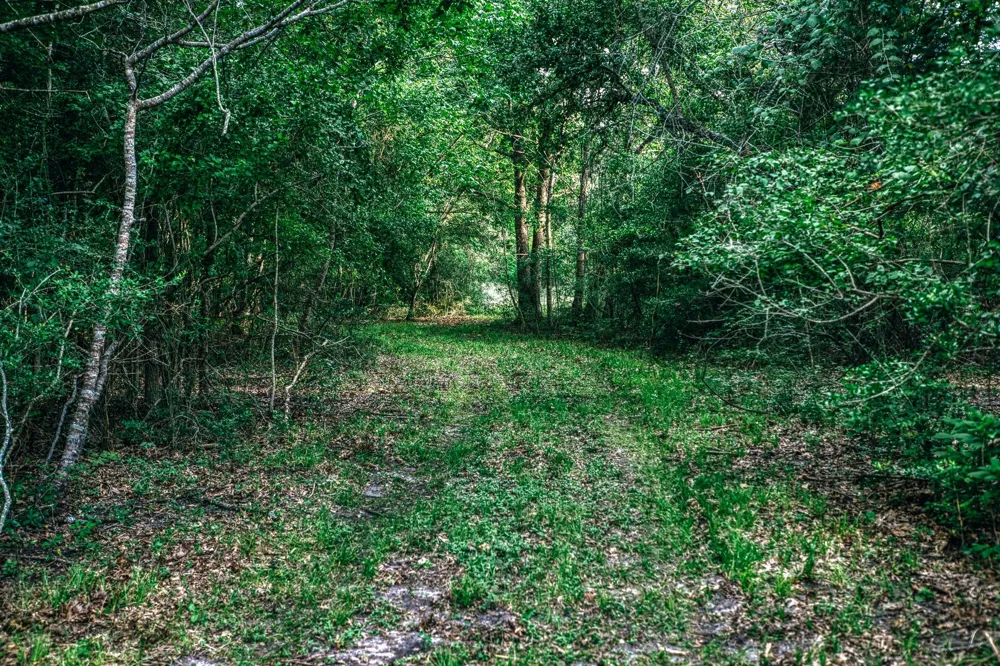 11755 Puddin Ln Washington, TX 77880