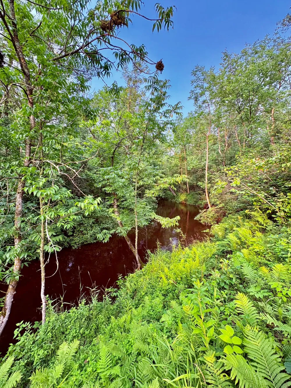 59366 330th Street Warroad, MN 56763