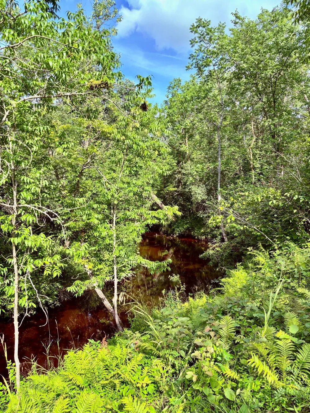 59366 330th Street Warroad, MN 56763