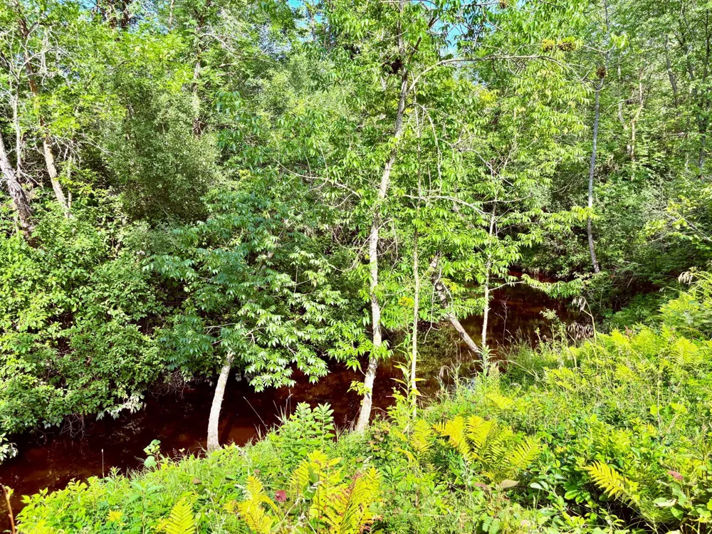 59366 330th Street Warroad, MN 56763