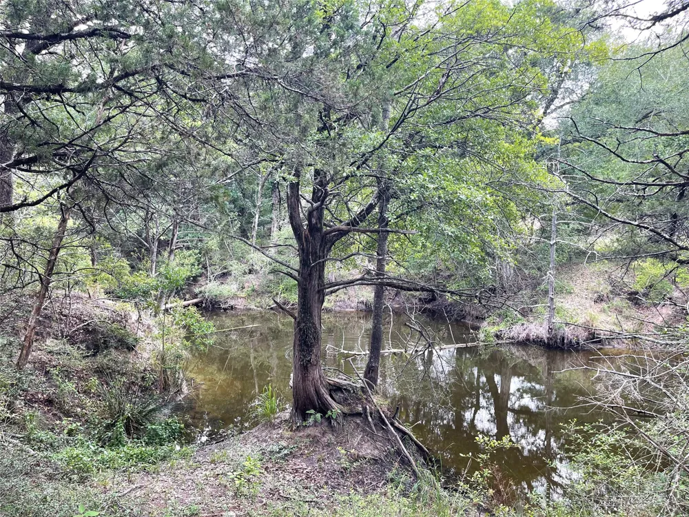 108 Fcr #525 Fairfield, TX 75840