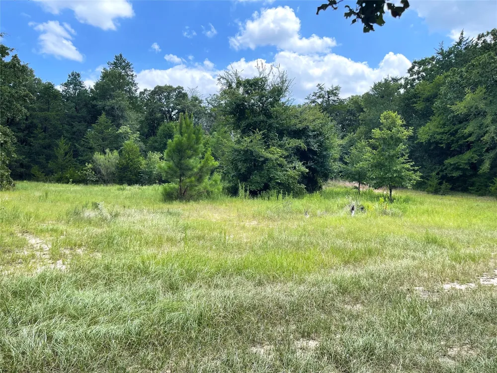 108 Fcr #525 Fairfield, TX 75840