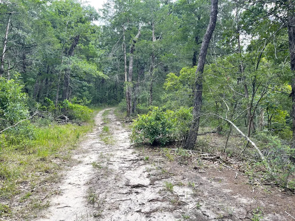 108 Fcr #525 Fairfield, TX 75840