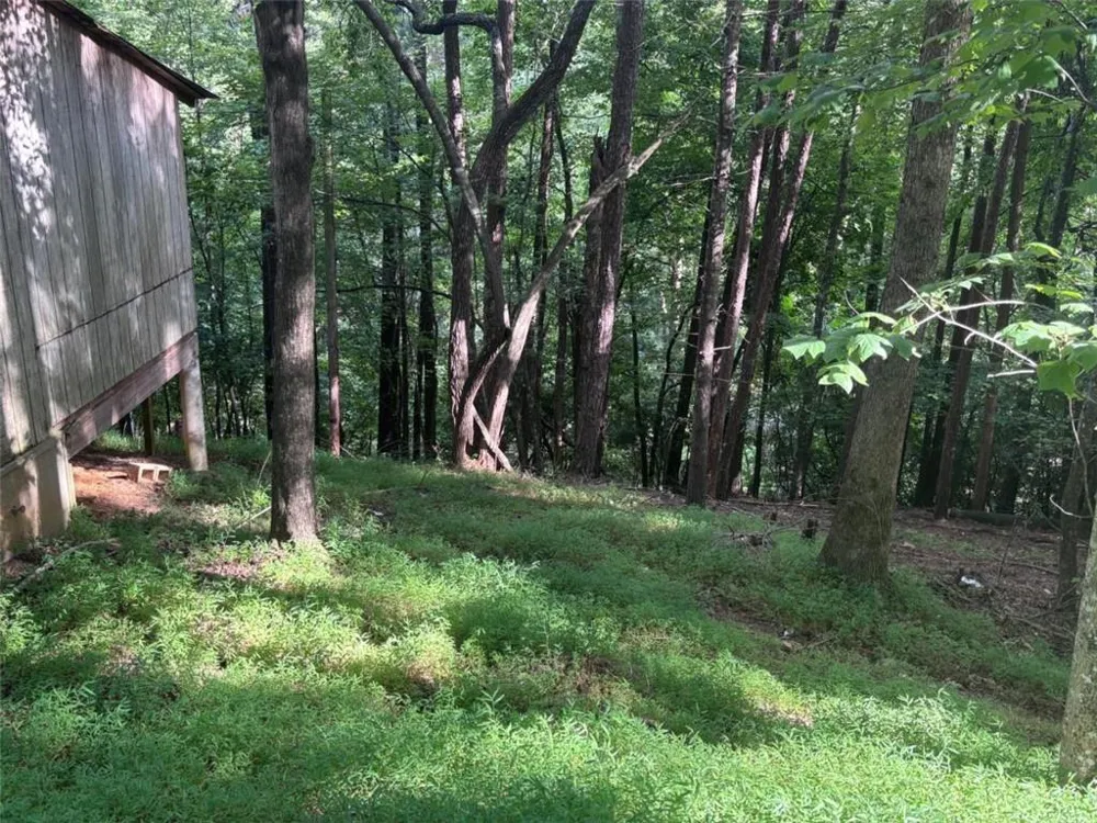 1163 Tipton Springs Road Morganton, GA 30560