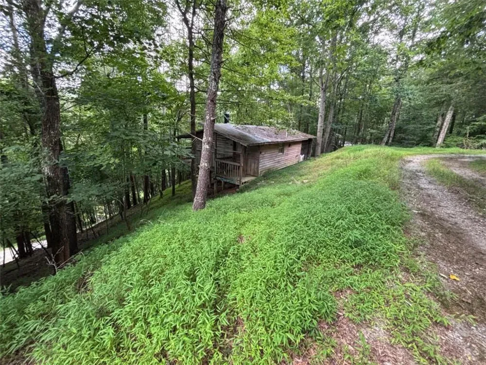 1163 Tipton Springs Road Morganton, GA 30560
