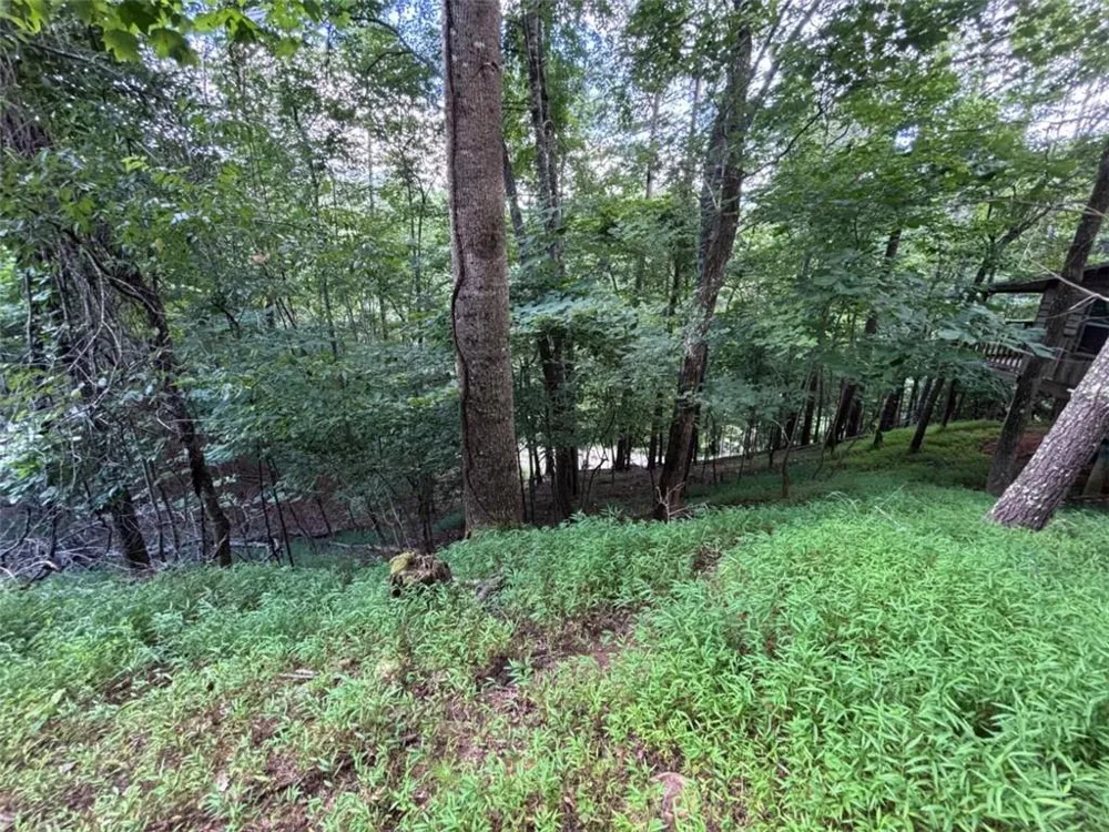 1163 Tipton Springs Road Morganton, GA 30560