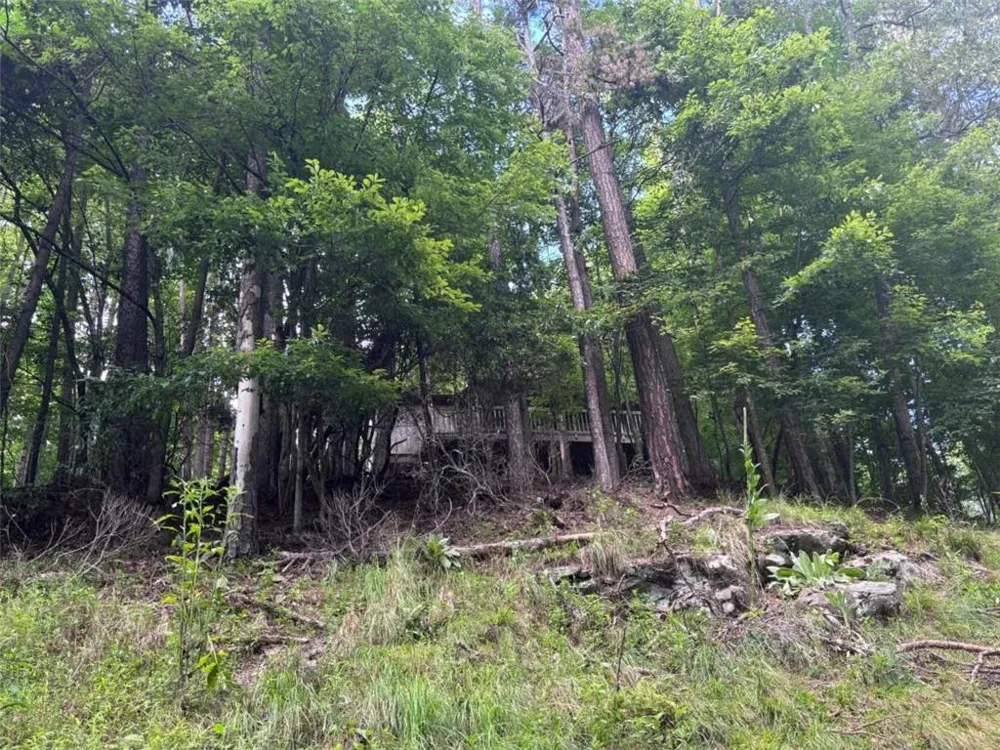 1163 Tipton Springs Road Morganton, GA 30560