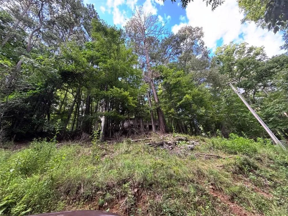 1163 Tipton Springs Road Morganton, GA 30560