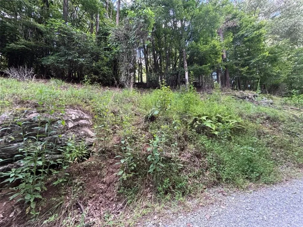 1163 Tipton Springs Road Morganton, GA 30560