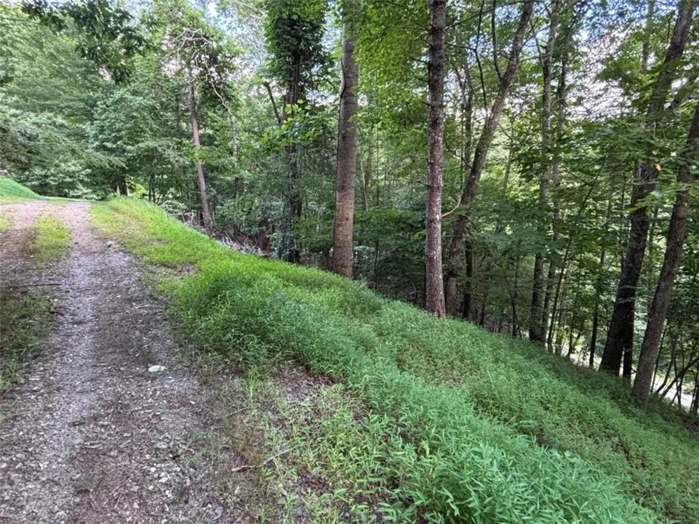 1163 Tipton Springs Road Morganton, GA 30560