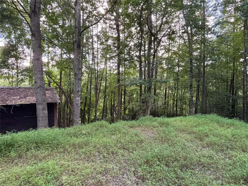 1163 Tipton Springs Road Morganton, GA 30560