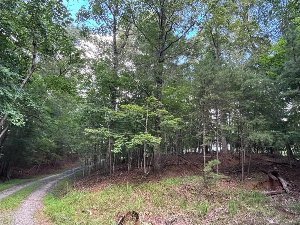 1163 Tipton Springs Road Morganton, GA 30560