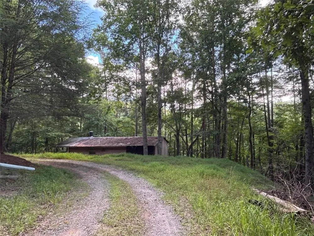 1163 Tipton Springs Road Morganton, GA 30560