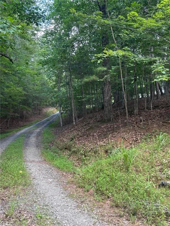 1163 Tipton Springs Road Morganton, GA 30560