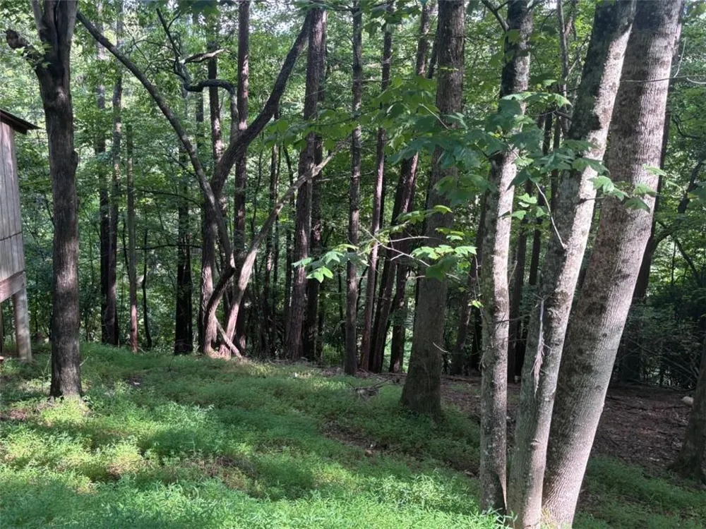 1163 Tipton Springs Road Morganton, GA 30560