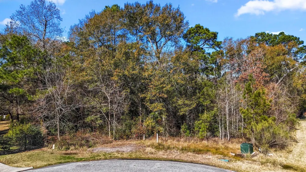 3707 Skyoak Court Spring, TX 77386