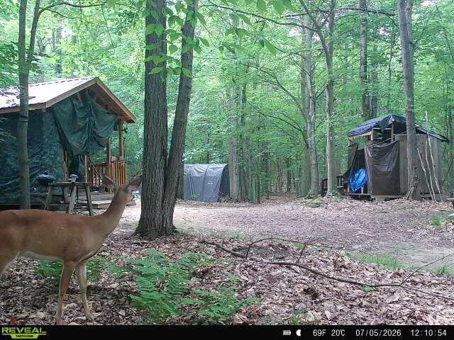 14739 9 Mile Road Reed City, MI 49677