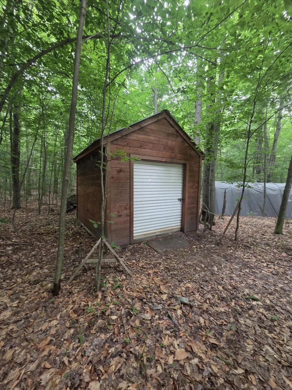 14739 9 Mile Road Reed City, MI 49677
