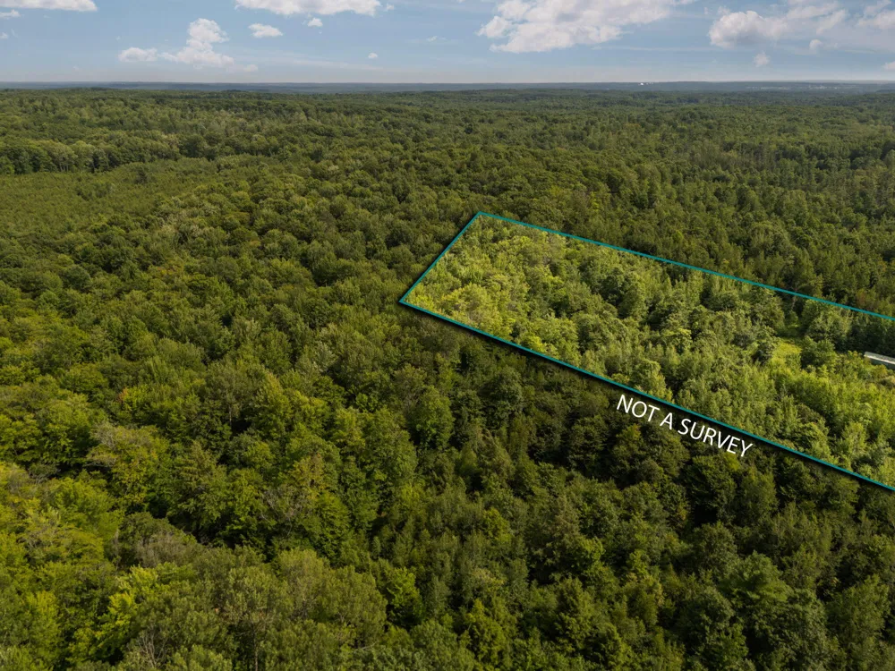 14739 9 Mile Road Reed City, MI 49677
