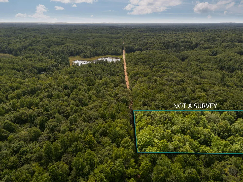 14739 9 Mile Road Reed City, MI 49677