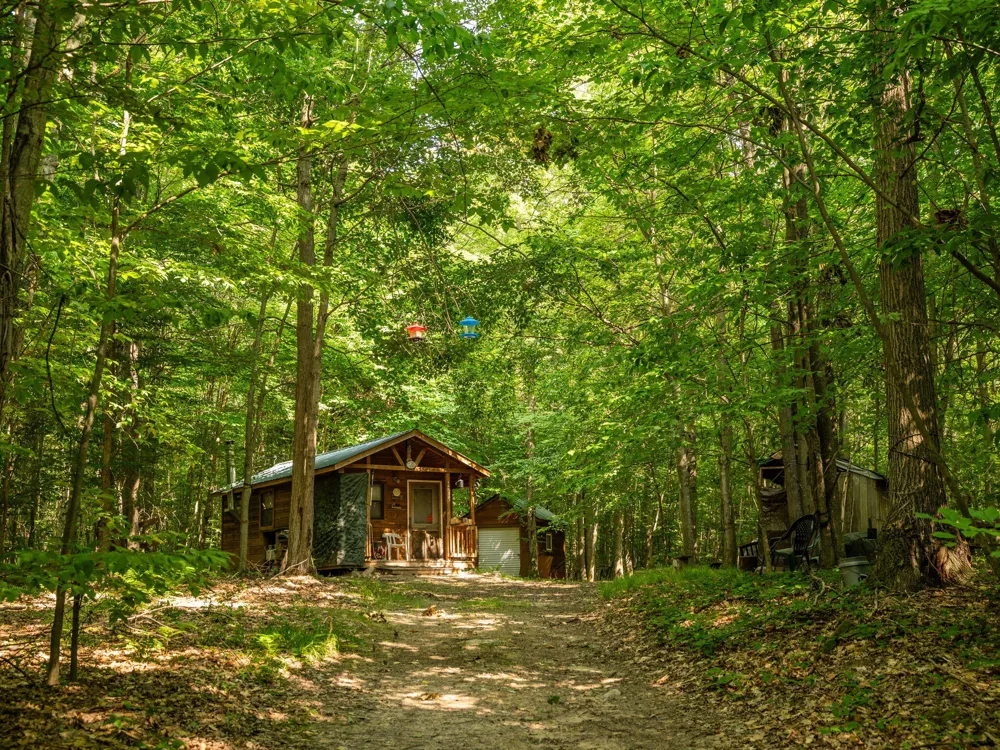 14739 9 Mile Road Reed City, MI 49677