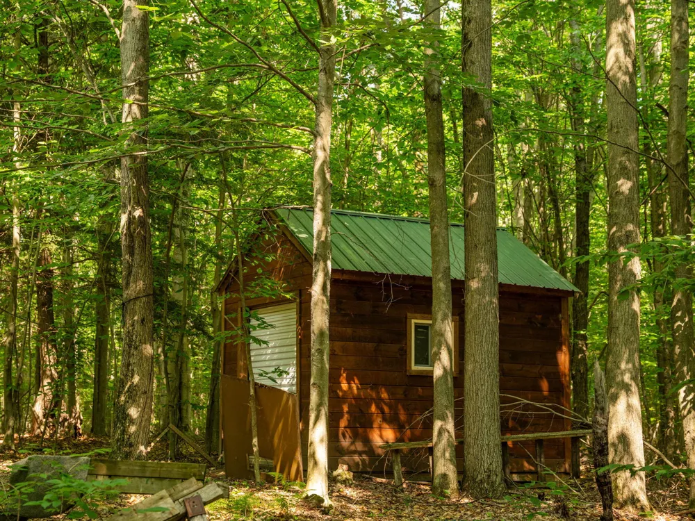14739 9 Mile Road Reed City, MI 49677