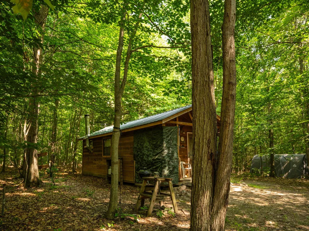 14739 9 Mile Road Reed City, MI 49677