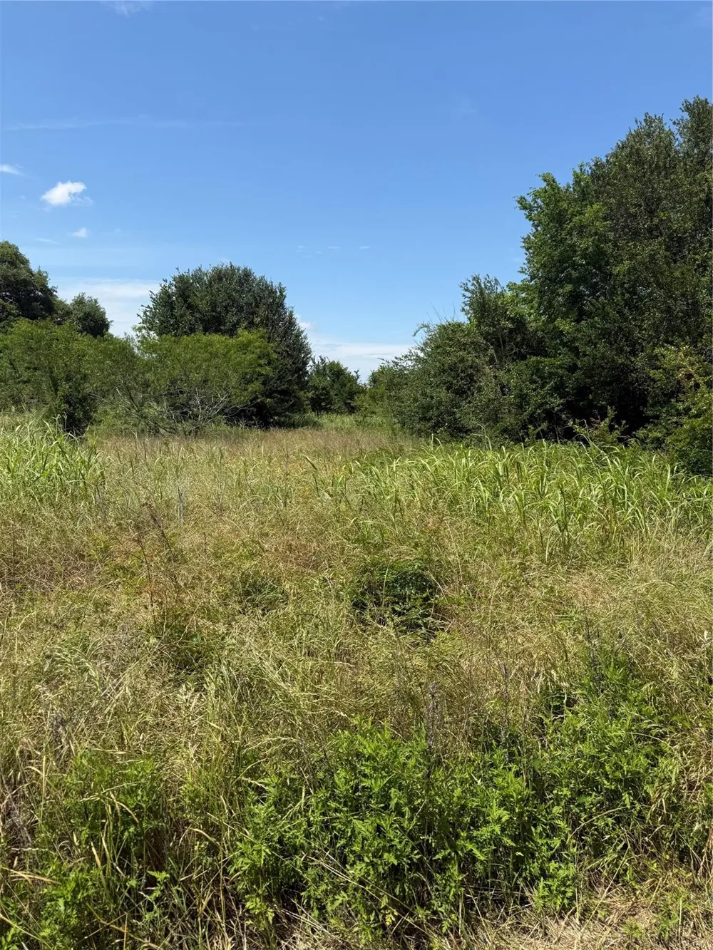 County Road 438 Snook, TX 77878