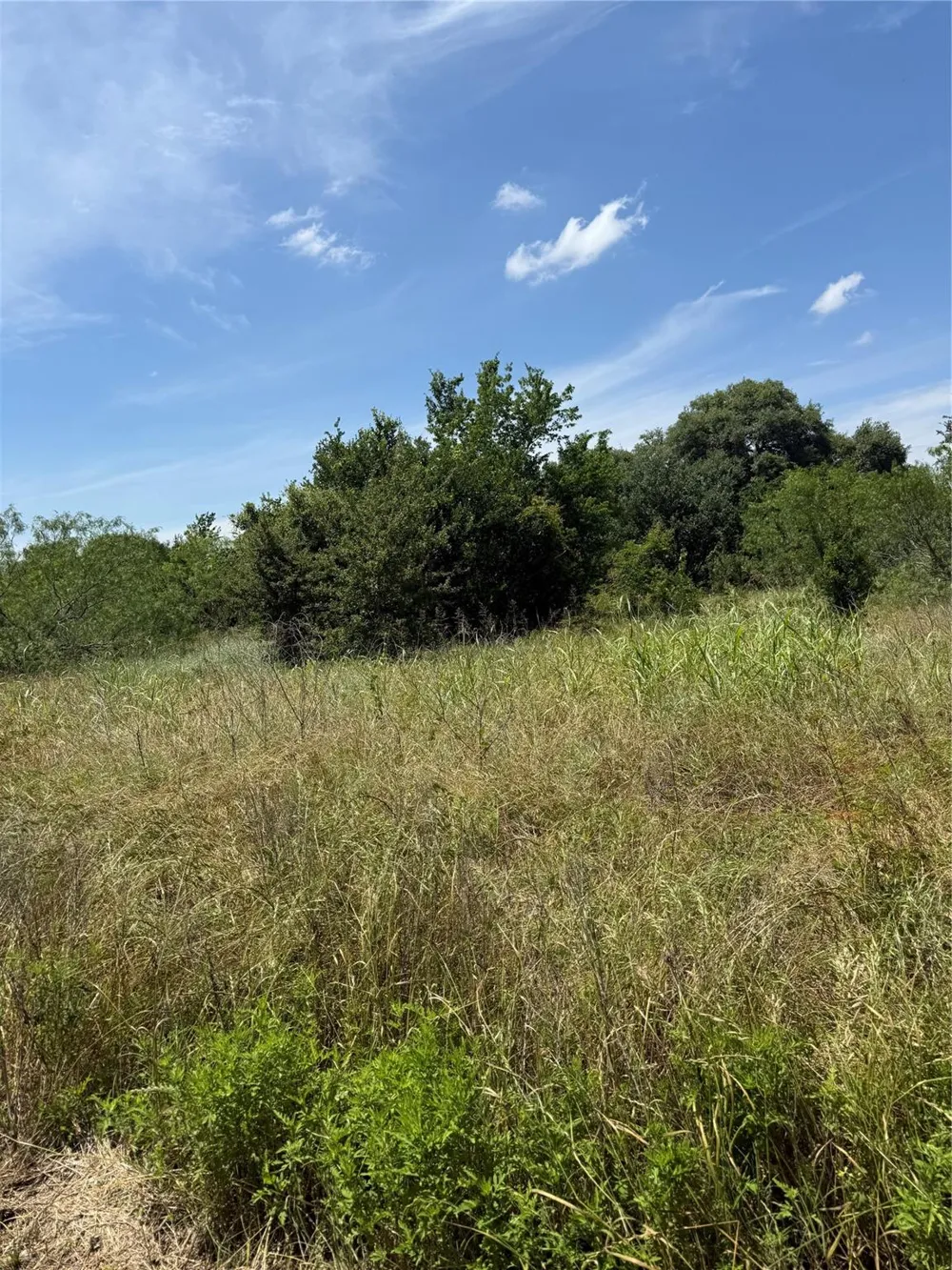 County Road 438 Snook, TX 77878